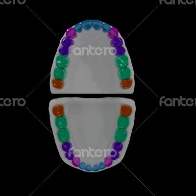 3D teeth on black background
