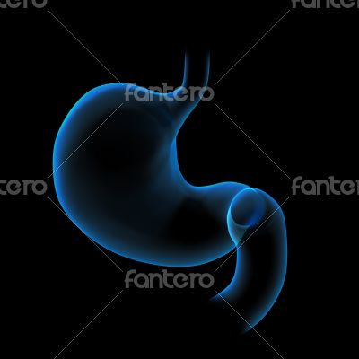 3d rendered illustration of the stomach