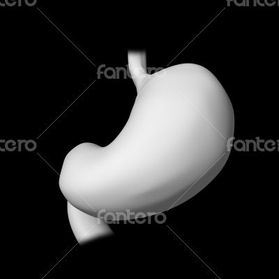 3d rendered illustration of the stomach