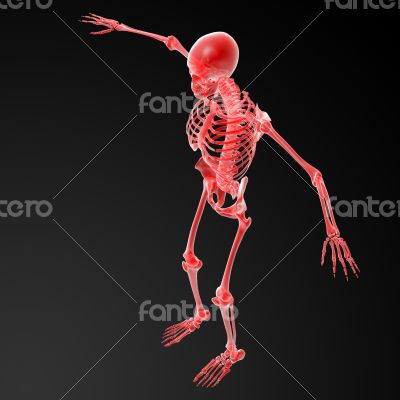 3d rendered red skeleton