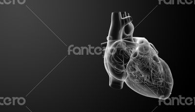 3d render illustration of the White heart