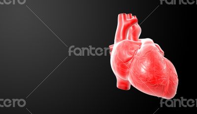  Red heart - front
