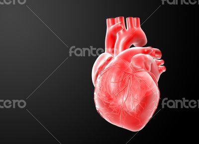3d render red Heart  