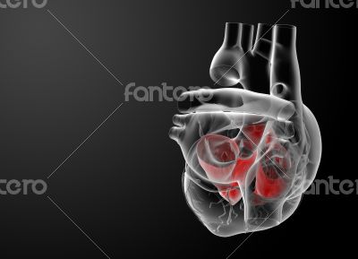 3d render Heart atrium