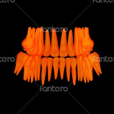 3d human orange teeth - back view