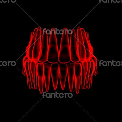 3d human red teeth - front view