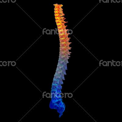 3d render painful spine