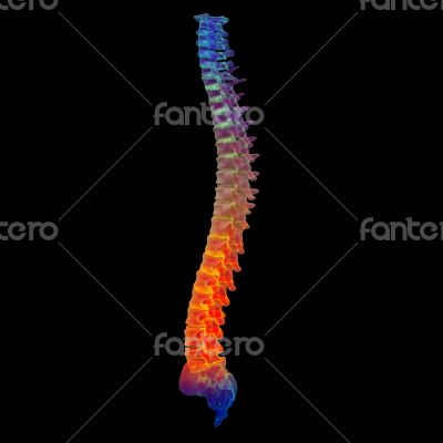3d render painful spine