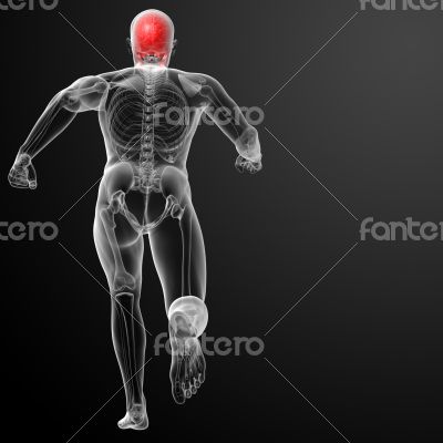 Human skull X ray in red
