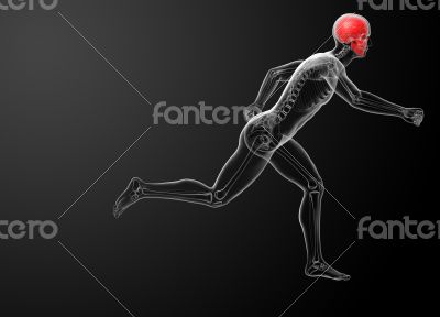 Human skull X ray in red 