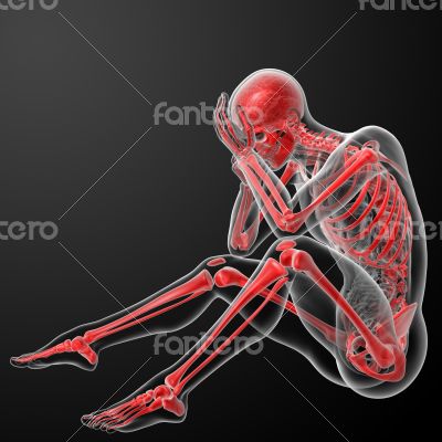 Red skeleton - side view