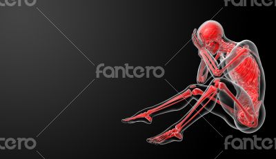 3d render Human antomy a