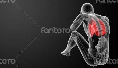 3D medical illustration