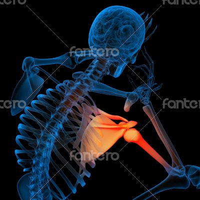 Skeleton of the man with the backbone