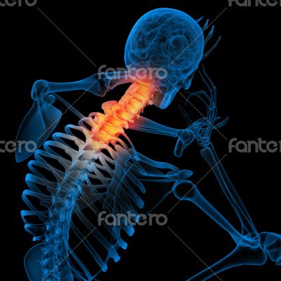 Skeleton of the man with the backbone