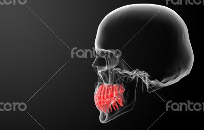 Skull with visible red teeth