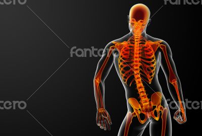 3d rendered red skeleton 