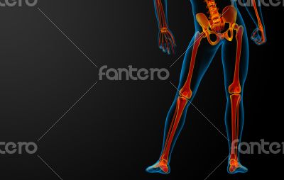 3d rendered red skeleton