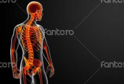 3d rendered red skeleton