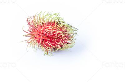 Rambutan