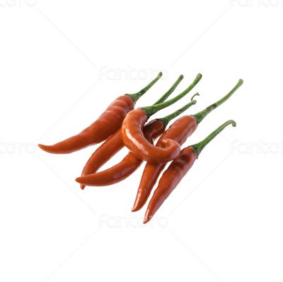 Red chili peppers isolated on white background