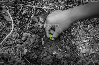 Protect the environment