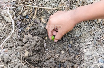 Protect the environment