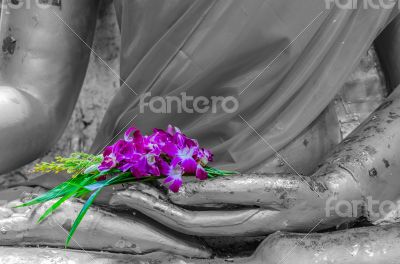 Orchid in hand image of buddha