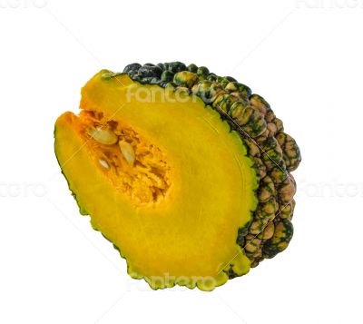 pumpkin on white background