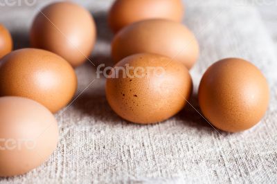  fresh brown eggs