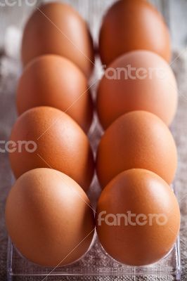 fresh eggs 