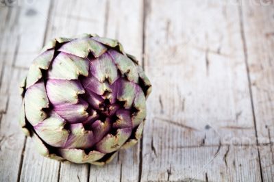 fresh artichoke 