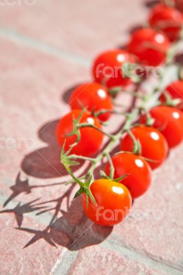 cherry tomatoes