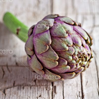 fresh artichoke