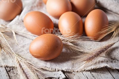  fresh brown eggs and wheat ears 