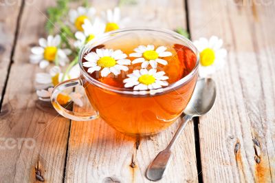 cup of tea with chamomile flowers