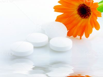Flower marigold medical with pills over white background