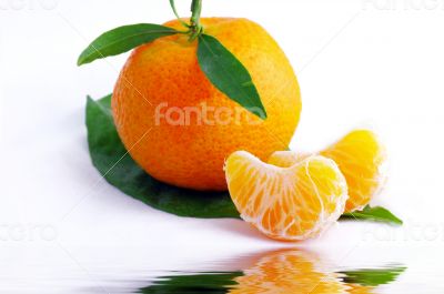 Tangerine with leaves on a white background