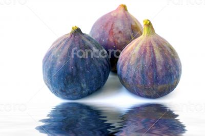 Fresh figs on white background
