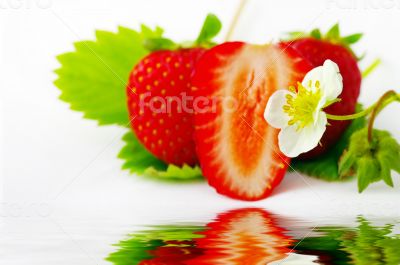 Strawberries and flowers on white background