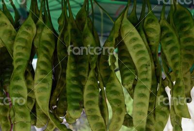 ASIA THAILAND PHUKET MARKT 