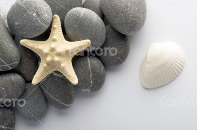 Natural spa elements- seashell with starshell and stones on whit