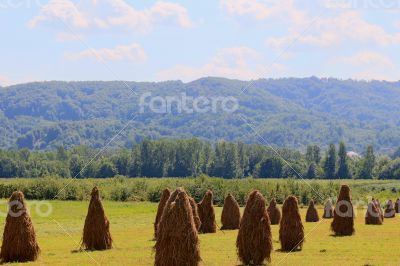 Farmland