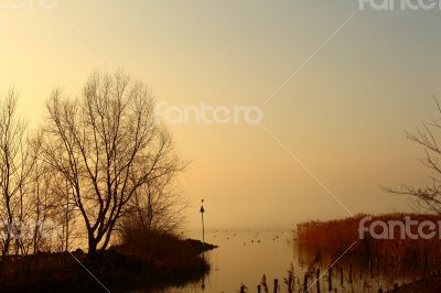 Balaton