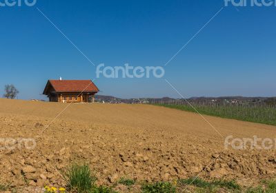 Beautiful landscape