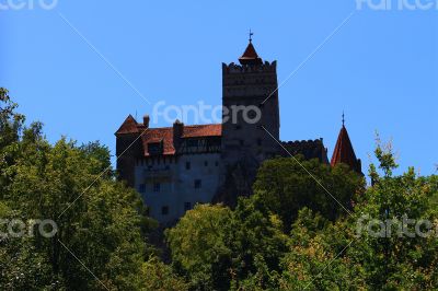 Dracula Castle
