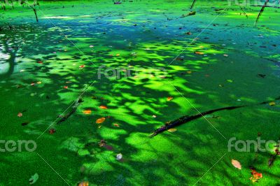 An other world