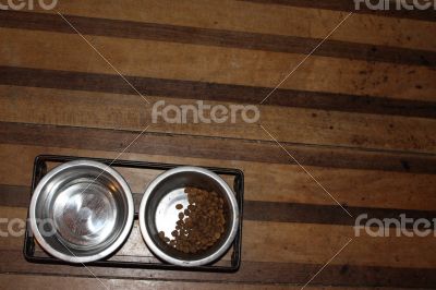 Dog Cat Food Dishes Water Wood floor