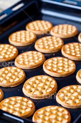 honey cookies on baking sheet