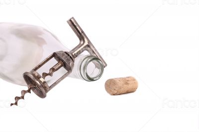 The wine cork